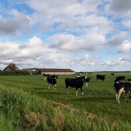 Iefjeshoeve Farm stay
