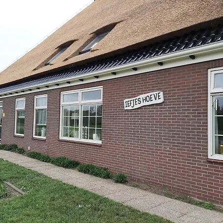 Farm stay Iefjeshoeve Petten