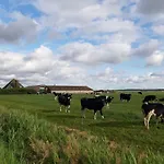 Iefjeshoeve Farm stay