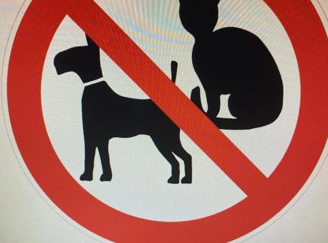 Iefjeshoeve * Petten